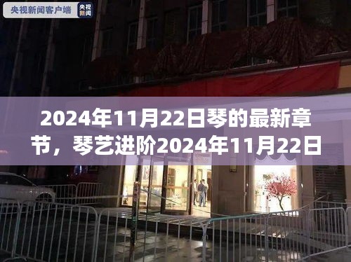 琴艺进阶学习指南，从入门到精通的最新章节与学习指南（2024年琴最新更新）