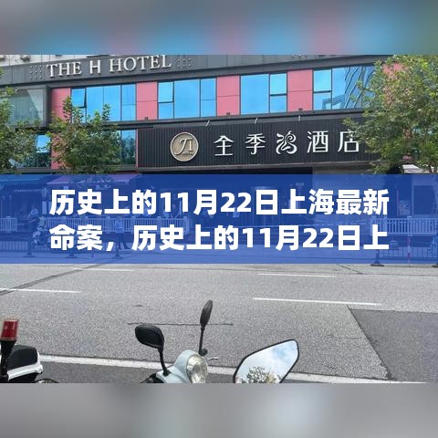 上海历史上的11月22日命案深度解析与观点探讨