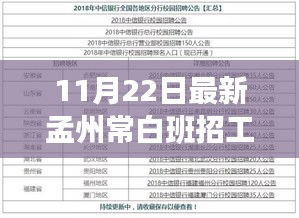 孟州常白班招工信息全解析，应聘指南与初学者进阶攻略