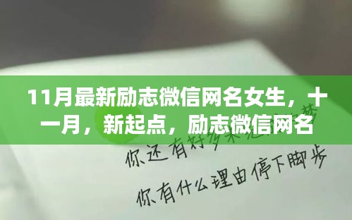 励志微信网名女生十一月新起点，学习变化铸就自信与成就之路