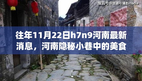 河南隐秘小巷美食秘境，探寻H7N9背后的故事与独特风味在往年11月22日揭秘之旅