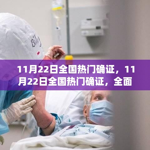 全国热门确证全面评测与深度解析，聚焦11月22日数据