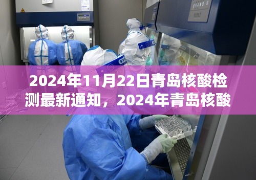 青岛核酸检测最新通知解析，关于2024年11月22日的最新通知