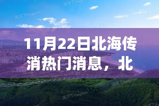 北海市场消息传播渠道深度解析，最新动态与用户体验分析（11月22日热门消息速递）