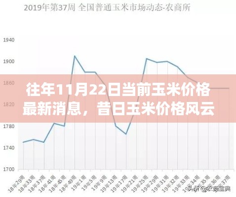 揭秘往年11月22日玉米价格风云再起，最新动态与市场趋势分析