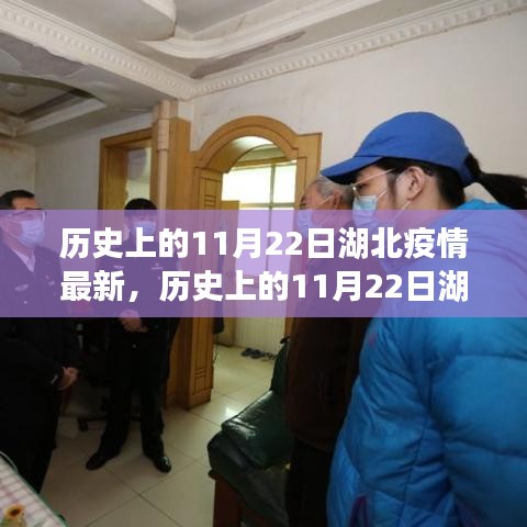 历史上的11月22日湖北疫情全面介绍与最新动态分析