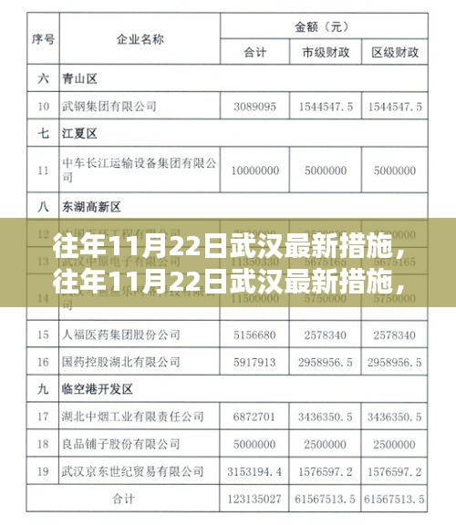 武汉城市管理新篇章，历年11月22日措施的细致变革与革新之路