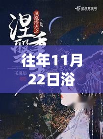 往年11月22日浴火军婚最新进展揭秘，热血军婚故事更新