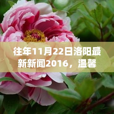 秋风落叶间，美好时光在洛阳，最新新闻与日常故事回顾 2016年篇