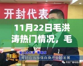 毛洪涛现象深度解析，11月22日热门情况的全面观察与评测