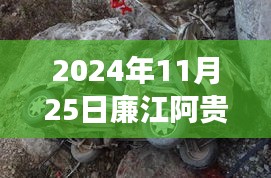 2024年廉江阿贵网最新车祸事件深度解析与细节分析