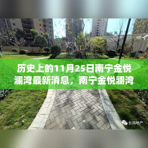 南宁金悦澜湾，历史与美食交汇的独特风味探寻记