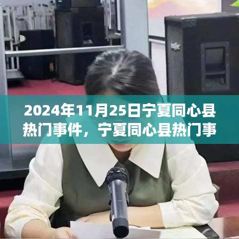 宁夏同心县热门事件深度解析，细节揭秘与用户体验洞察（2024年11月25日）