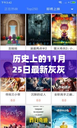 灰灰影音新里程碑，历史上的11月25日回顾与前瞻