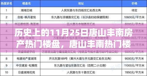 唐山丰南房产热门楼盘的温馨故事，友谊与家的奇遇——历史回顾与今日聚焦