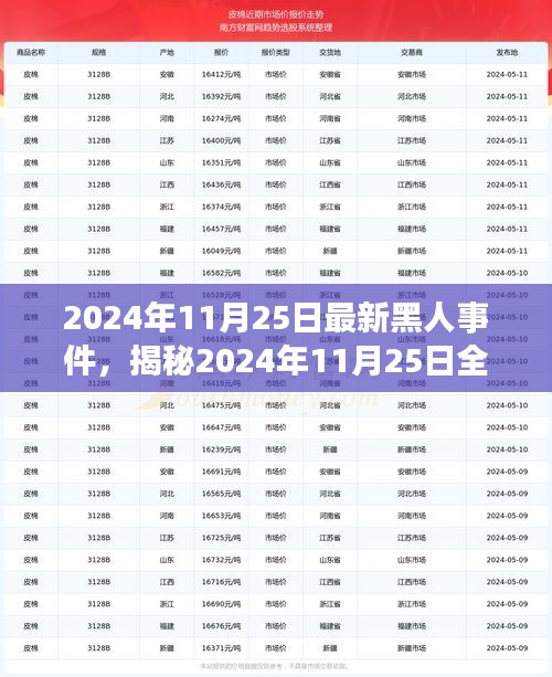 揭秘全球最新黑人事件，深度探讨背后的意义与影响（2024年11月25日最新报道）