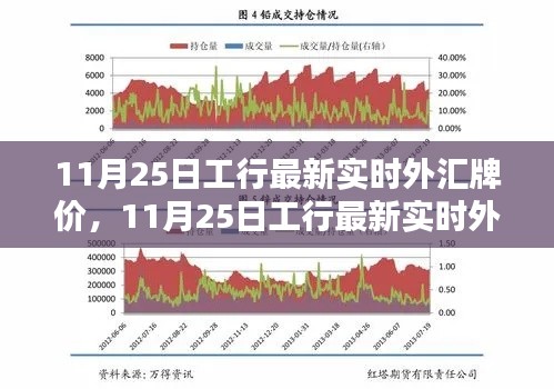 11月25日工行实时外汇牌价下的货币走势深度解析与观点碰撞