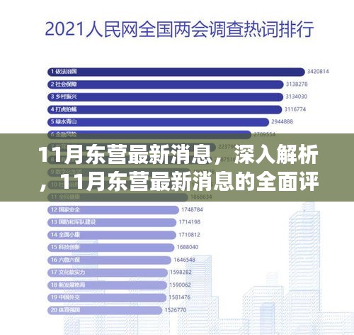 11月东营最新动态，全面解析与评测