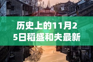 稻盛和夫与他的小巷传奇，探寻历史中的美食秘境与隐藏故事（11月25日最新）