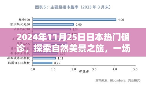 探索日本自然美景之旅，远离尘嚣的心灵确诊之旅（2024年11月25日）