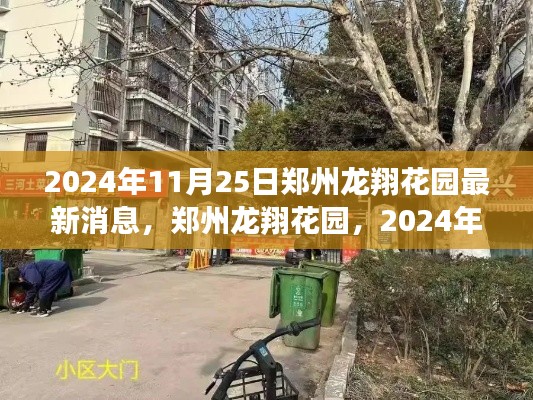 郑州龙翔花园深度观察与最新消息，2024年11月25日报告发布