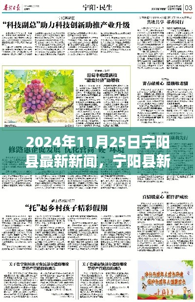 宁阳县新闻探索之旅，解读本地最新资讯（以2024年11月25日为例）