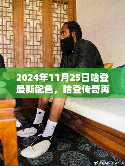 哈登传奇再添新色，揭秘2024年11月25日最新配色时代印记