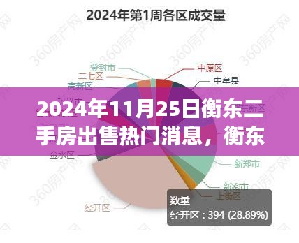 衡东二手房市场深度解析，热门房源特性与用户体验评测