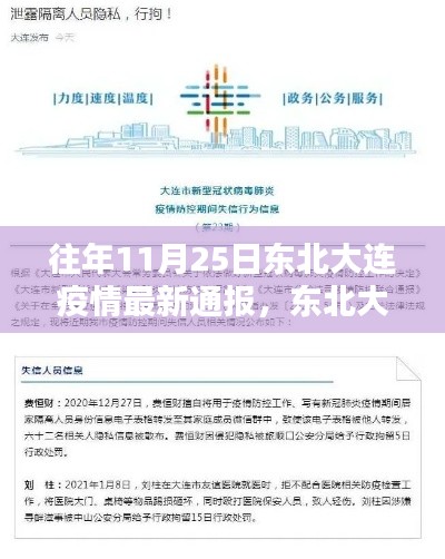 往年11月25日东北大连疫情最新通报及获取指南，快速了解疫情信息的方法