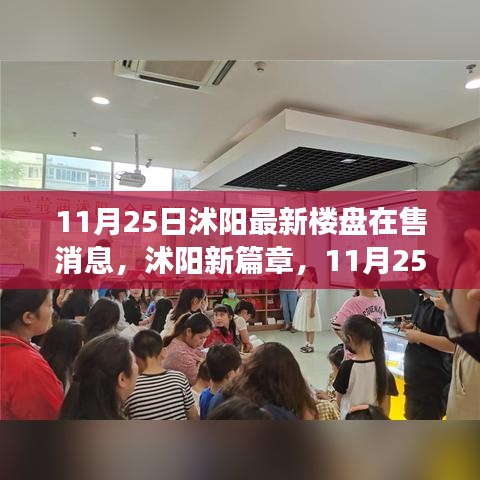 沭阳最新楼盘市场动态，深度观察与最新消息