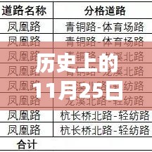 历史上的重要时刻，标准股份在11月25日的最新消息回顾与深度影响分析