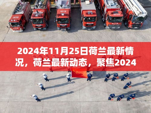 荷兰最新动态，聚焦2024年11月25日概览