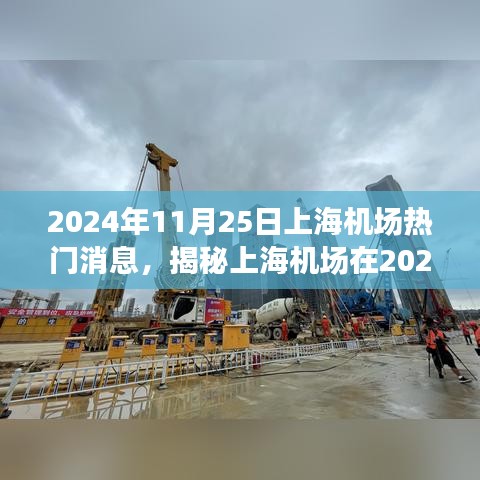 揭秘上海机场在高峰日的最新动态，特性、体验、竞争分析与用户洞察（2024年11月25日）