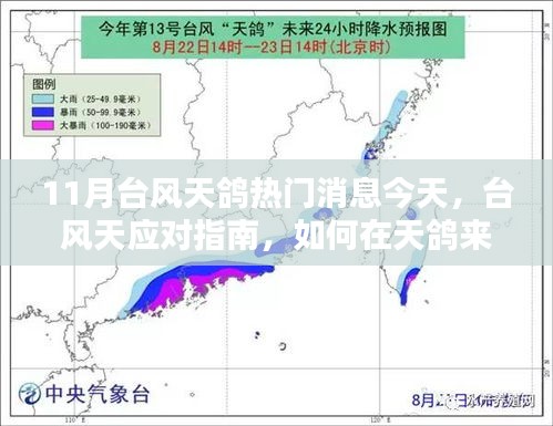 台风天鸽来袭，应对指南与防护措施