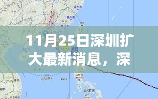 深圳扩大最新消息解析，掌握相关资讯获取技能的重要性