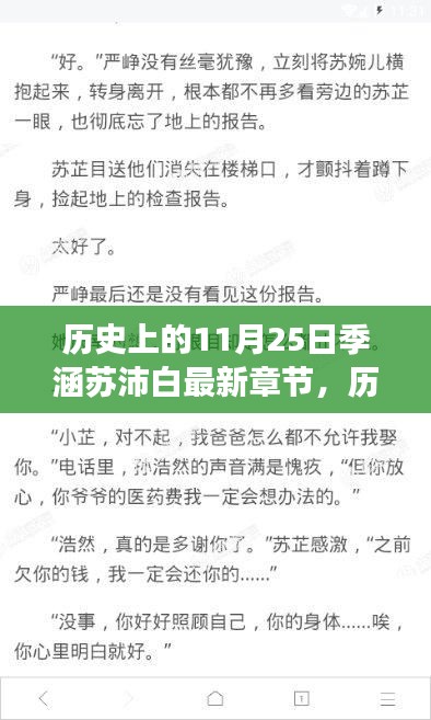 历史上的11月25日与季涵苏沛白，多维度视角下的观点碰撞最新章节探讨