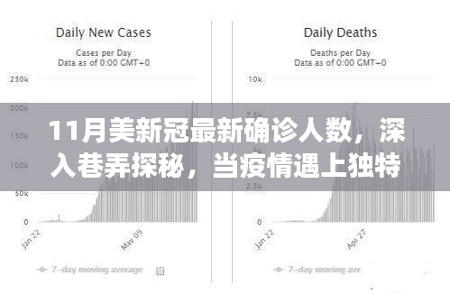 11月美国新冠疫情最新动态，巷弄探秘特色小店的故事