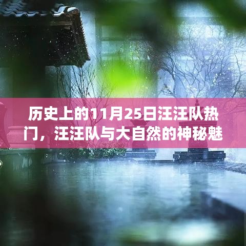 汪汪队与大自然的神秘魅力，一次远离尘嚣的历史心灵之旅（11月25日热门回顾）