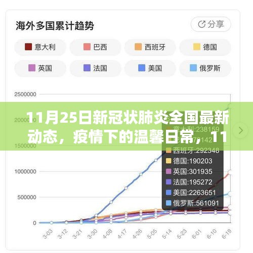 11月25日新冠状肺炎全国最新动态，疫情下的温馨日常与新希望纽带