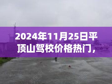 揭秘平顶山驾校价格趋势，励志驾驭未来的启程之旅（2024年）