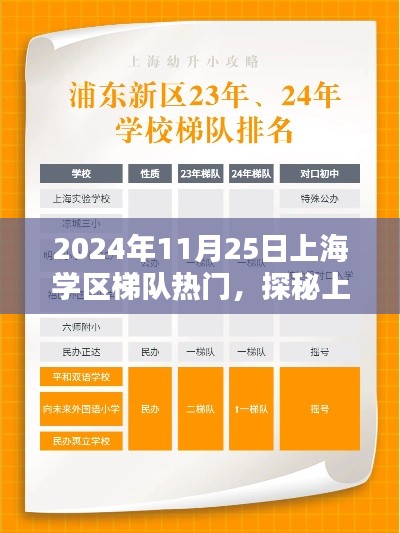 探秘上海学区梯队热门，小巷深处的独特风味，2024年11月25日的奇遇。