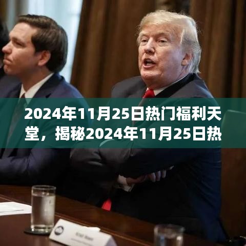 揭秘2024年11月25日福利天堂，三大要点深度解读与热门福利一网打尽！