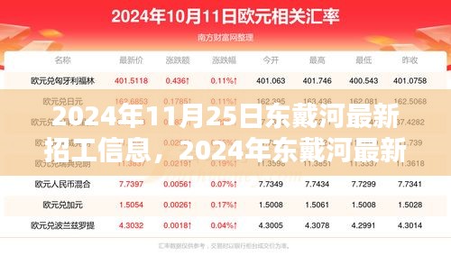 2024年11月25日东戴河最新招工信息，2024年东戴河最新招工信息详解，求职全攻略