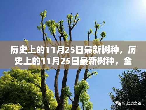 历史上的11月25日最新树种深度解析，全新特性与用户体验探讨