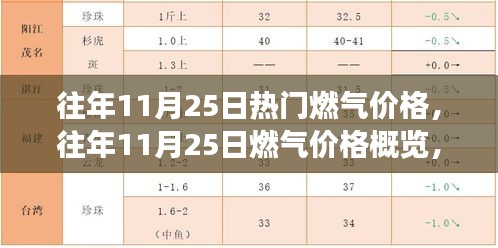 往年11月25日燃气价格概览，特性、体验、竞争分析与目标用户深度剖析