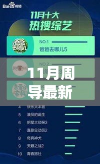 11月周导最新资料大揭秘，全面评测与深度介绍