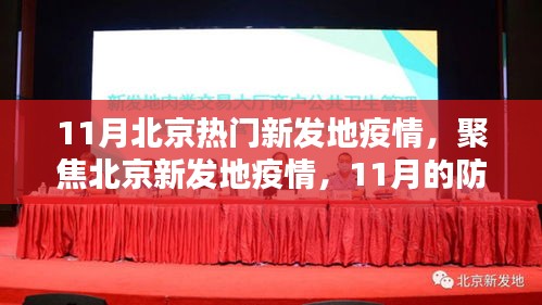 北京新发地疫情11月防控挑战与应对策略聚焦，疫情下的挑战与应对之道