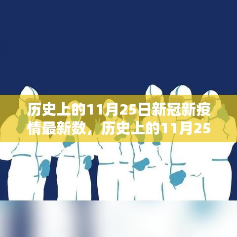 历史上的11月25日新冠新疫情数据解析与应对策略，初学者与进阶用户指南