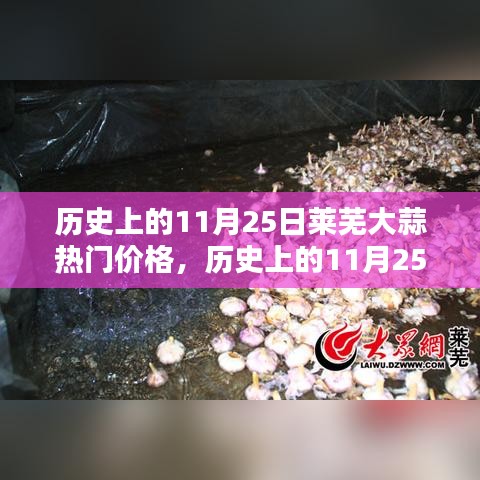 历史上的11月25日莱芜大蒜价格概览与走势分析