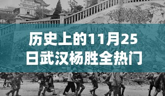 武汉杨胜全热门案情深度解析，多方观点碰撞与个人立场阐述，历史上的11月25日回顾